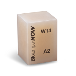 BioTemps NOW Milling Blocks; GD-Mandrel; (5 units)