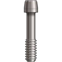 Inclusive® Titanium Screw compatible with: Dentsply Implants Astra